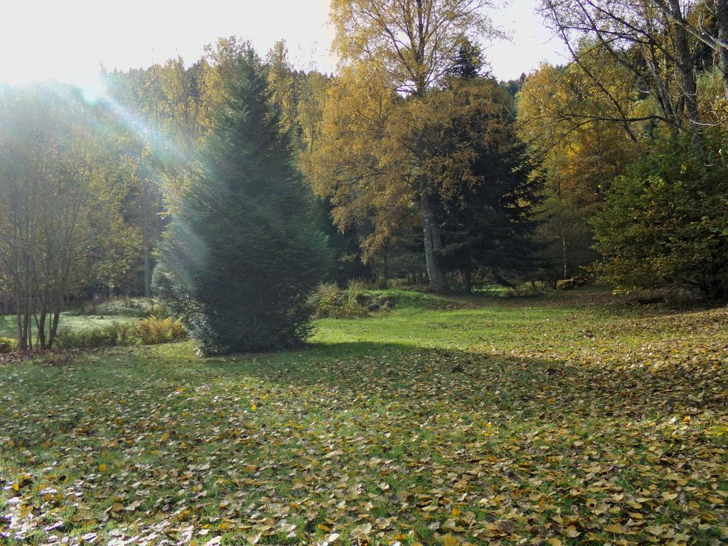 Hotel-Spa & Restaurant Logis Domaine Langmatt Murbach المظهر الخارجي الصورة