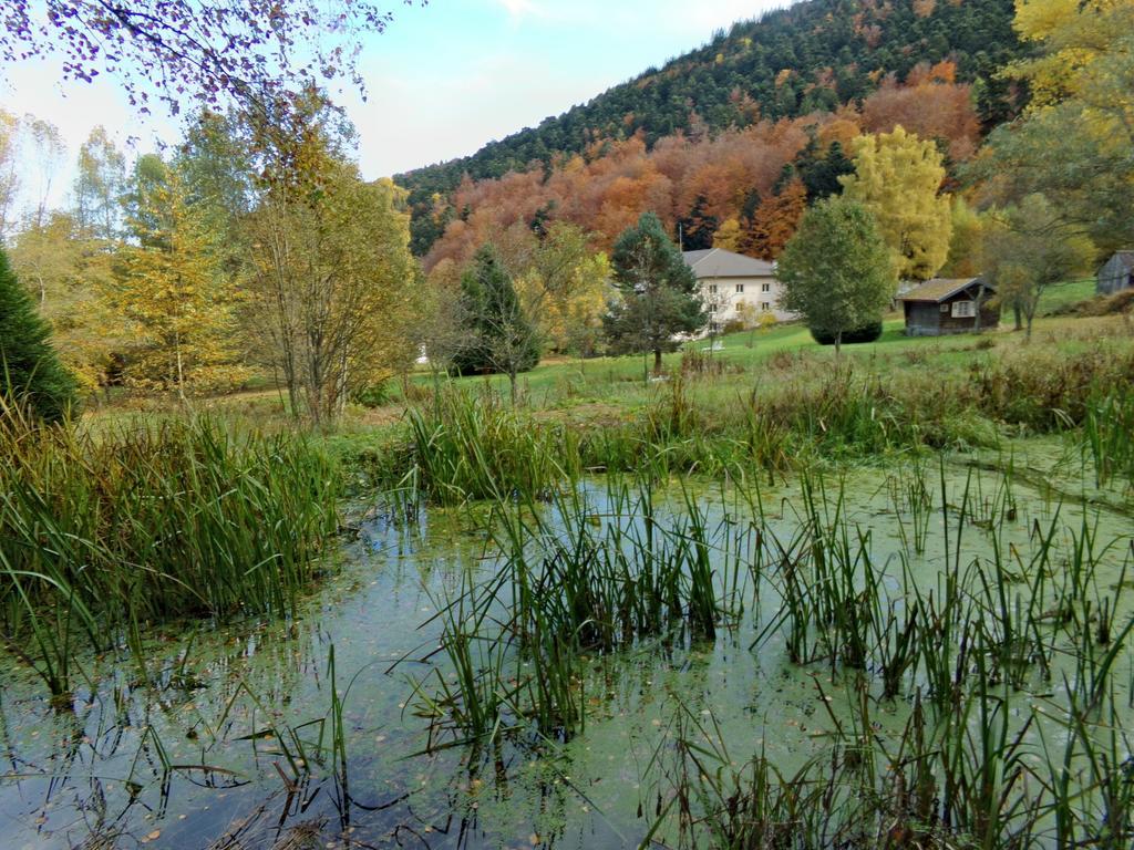 Hotel-Spa & Restaurant Logis Domaine Langmatt Murbach المظهر الخارجي الصورة