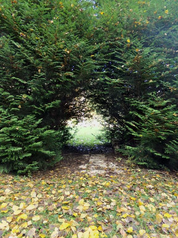 Hotel-Spa & Restaurant Logis Domaine Langmatt Murbach المظهر الخارجي الصورة