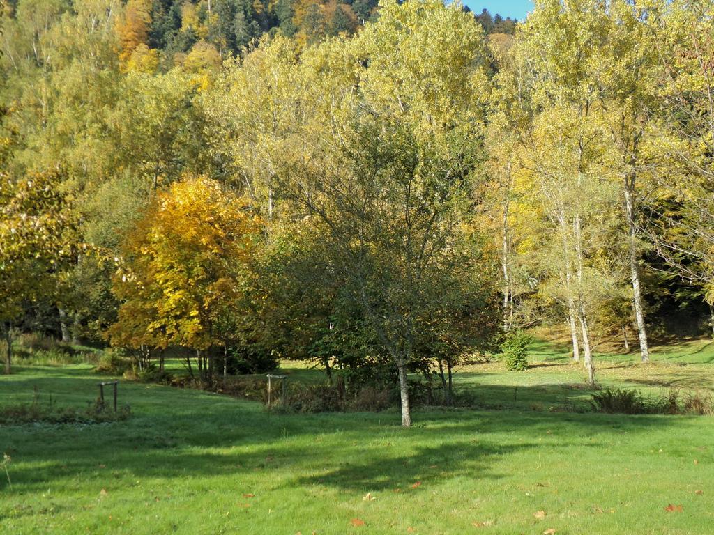 Hotel-Spa & Restaurant Logis Domaine Langmatt Murbach المظهر الخارجي الصورة