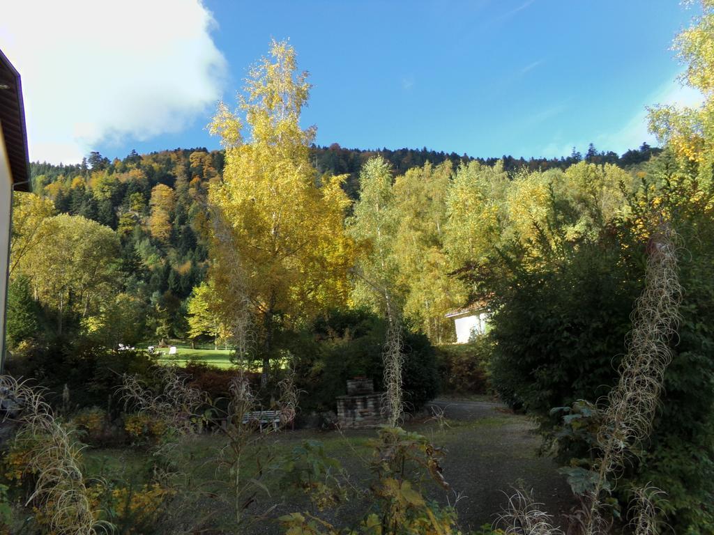 Hotel-Spa & Restaurant Logis Domaine Langmatt Murbach المظهر الخارجي الصورة