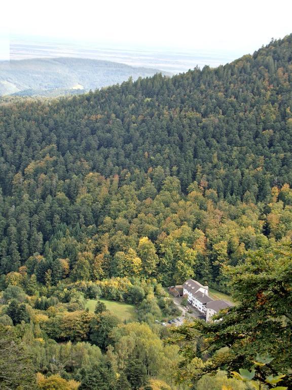 Hotel-Spa & Restaurant Logis Domaine Langmatt Murbach المظهر الخارجي الصورة